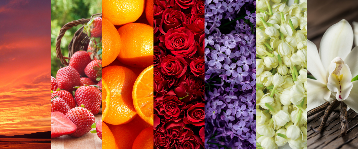 Spring Things Collection