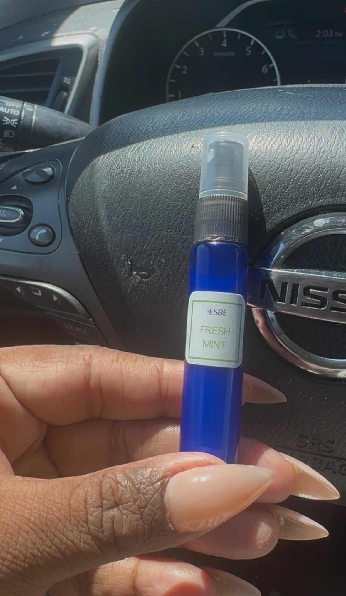 Fresh Mint Travel Size Room & Linen Spray